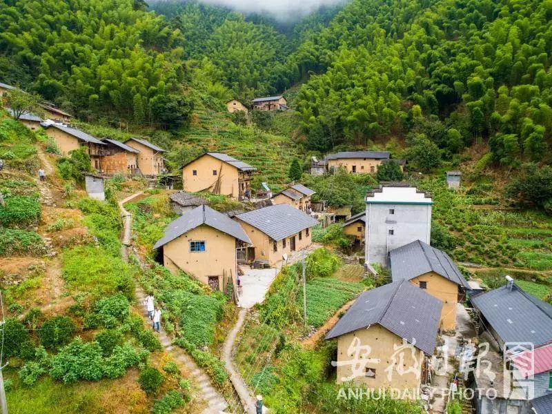 百医驻村 | 休宁县徐家村和清溪村的驻村医生张建明、徐晓婵夫妻