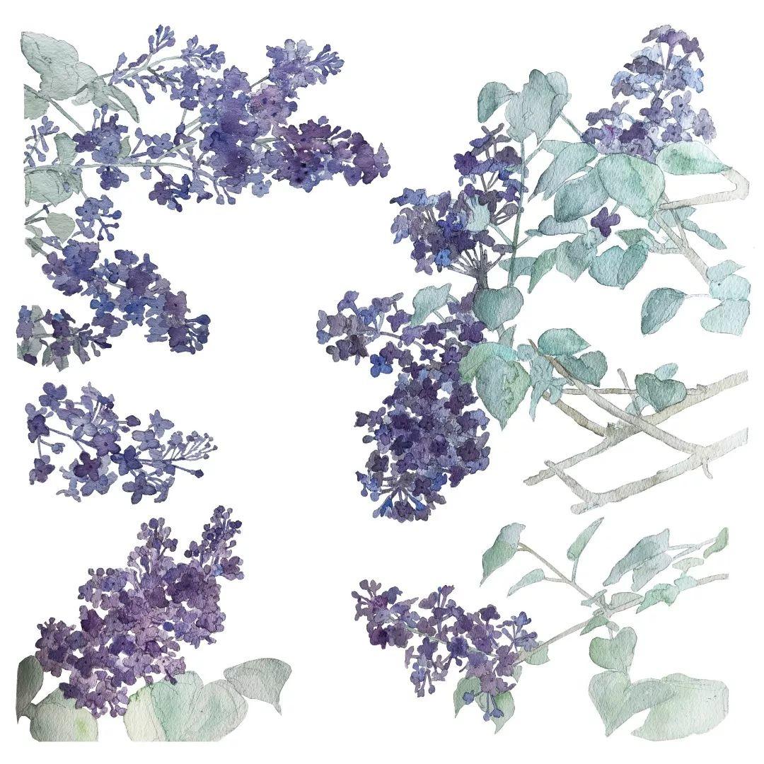 微看展｜画展也可以买买买？