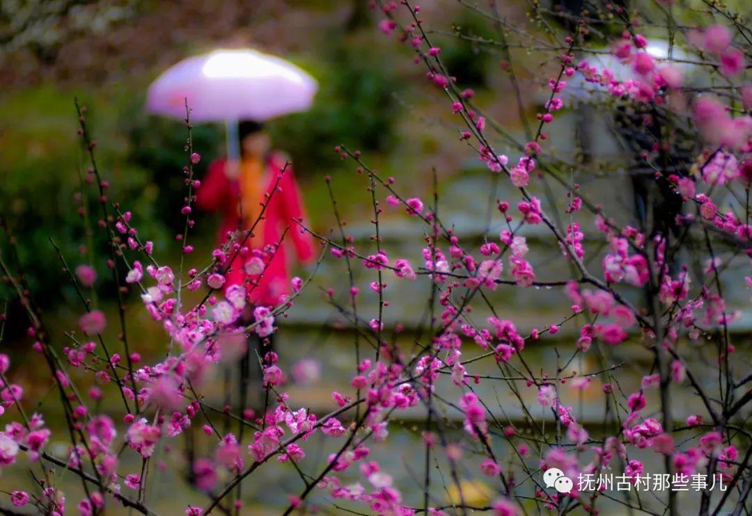 侯坊村：荒度平成继禹功
