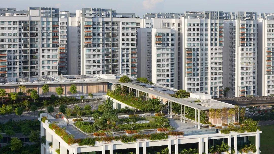 全球最具影响力在线建筑杂志公布2019年Dezeen建筑奖入围名单