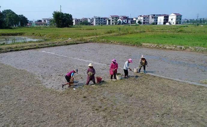 新《土地管理法》能守护乡村吗？