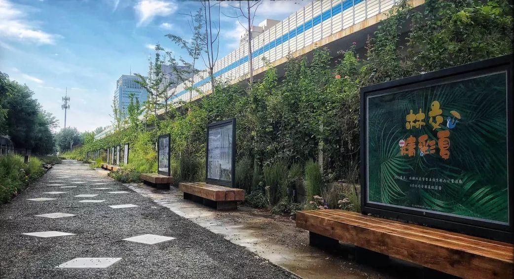 北京在行动丨百年京张变身9公里铁路遗址公园 北京在行动丨百年京张变身9公里铁路遗址公园
