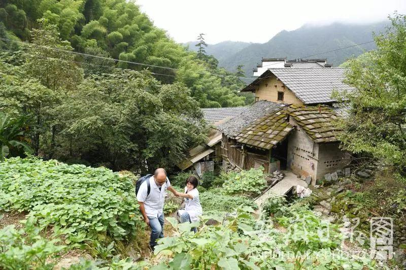 百医驻村 | 休宁县徐家村和清溪村的驻村医生张建明、徐晓婵夫妻