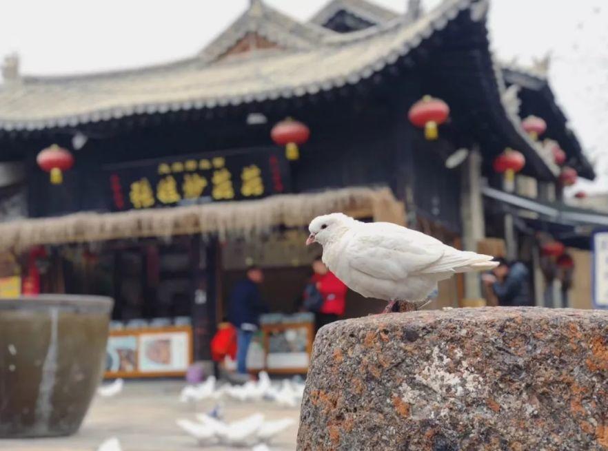乡村运营·是死是活？