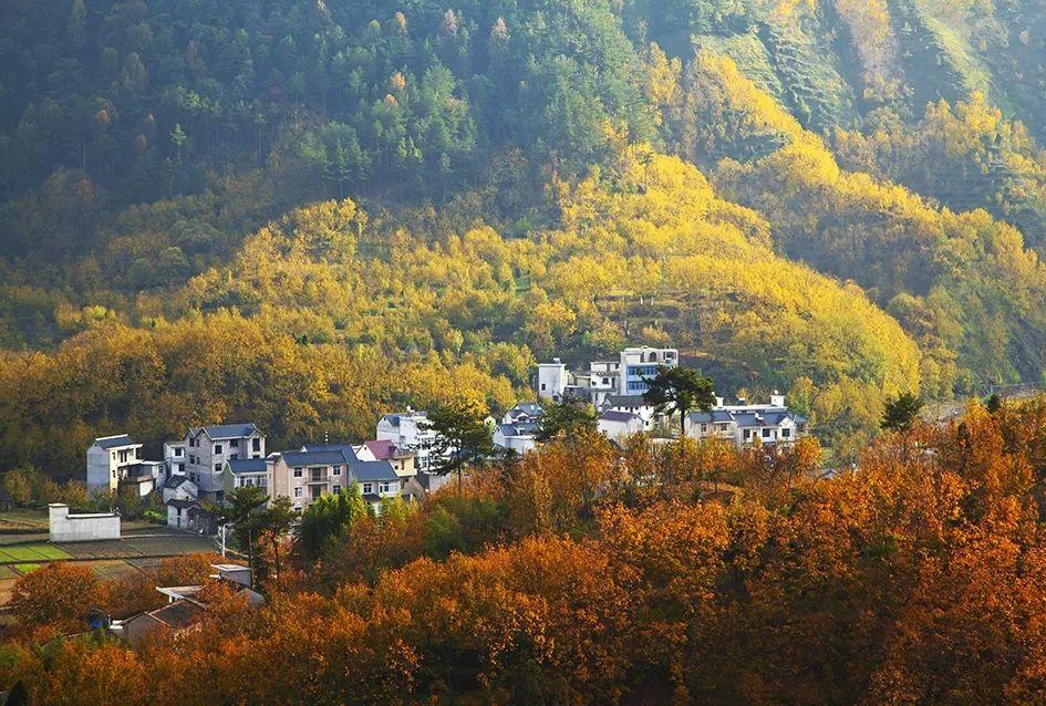 初秋旅行“第一弹”，真正会玩的人都去了这些地方！