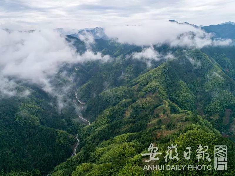 百医驻村 | 休宁县徐家村和清溪村的驻村医生张建明、徐晓婵夫妻