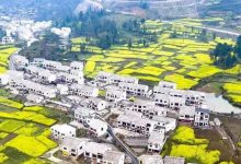 【研究】基于自然主控因子和道路可达性的广东省乡村聚落空间分布特征及影响因素-规划问道