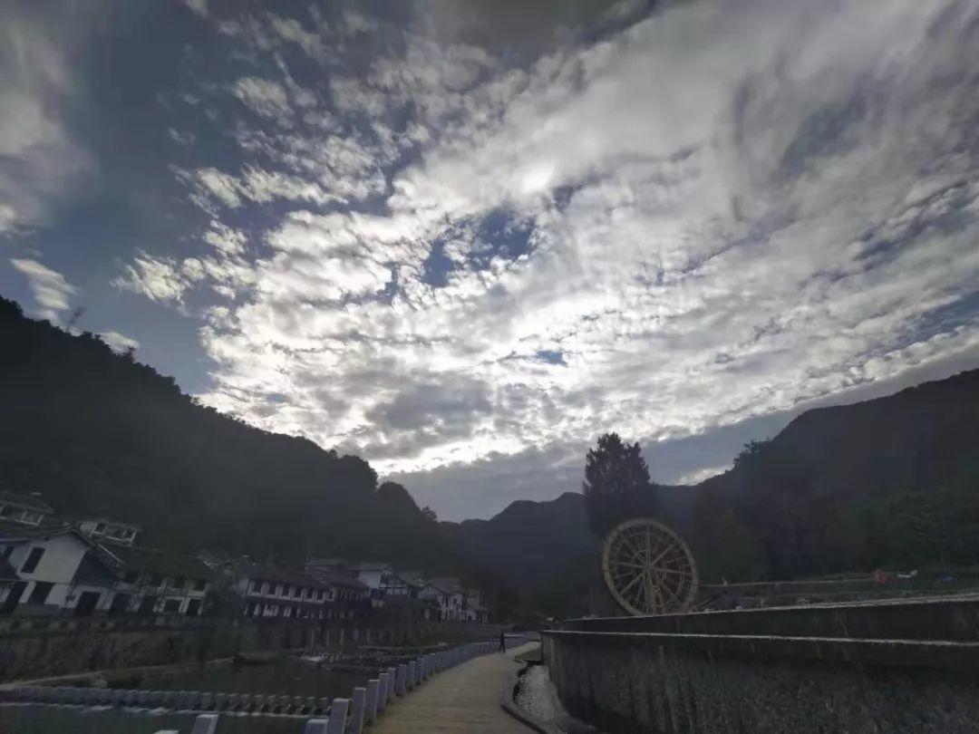 乡村运营·是死是活？