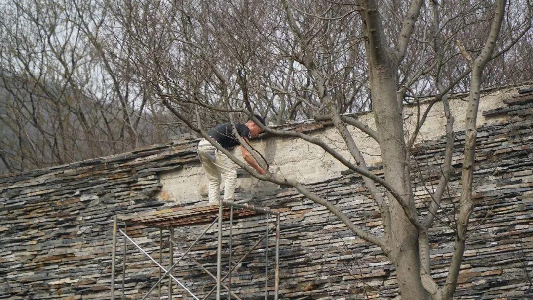 中国建筑学教育基地在南京！这里让你一天看遍霍尔、矶崎新、王澍、妹岛和世......
