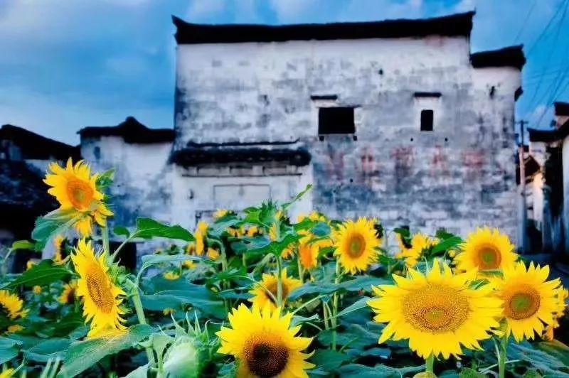 初秋旅行“第一弹”，真正会玩的人都去了这些地方！