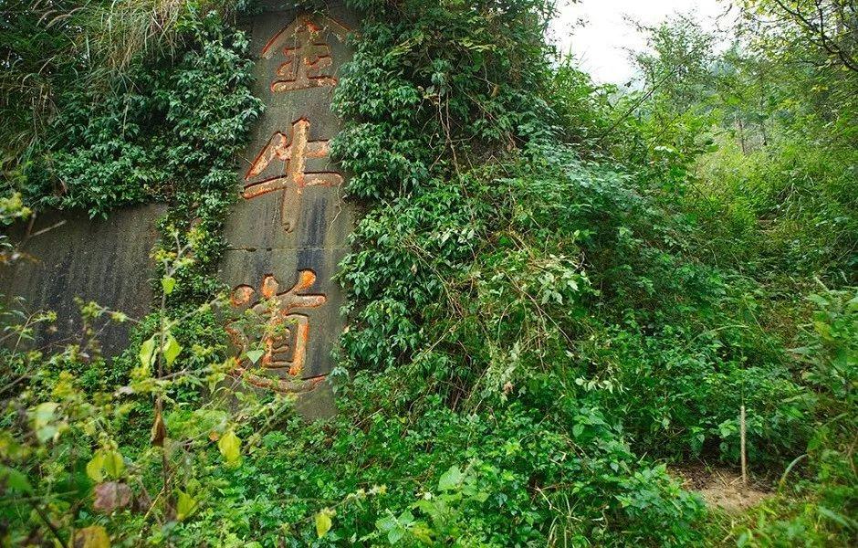 长风万里古道行 长风万里古道行