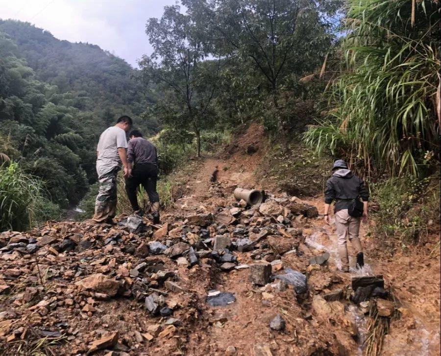 “迅速+专业”︱临安分局积极做好湍口镇雨后地质灾害防范和处置工作 “迅速+专业”︱临安分局积极做好湍口镇雨后地质灾害防范和处置工作