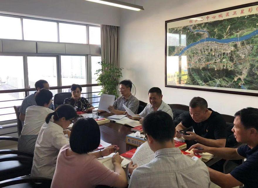 桐庐县规划和自然资源局新举措强化基层党建,抓实主题教育 桐庐县规划和自然资源局新举措强化基层党建,抓实主题教育