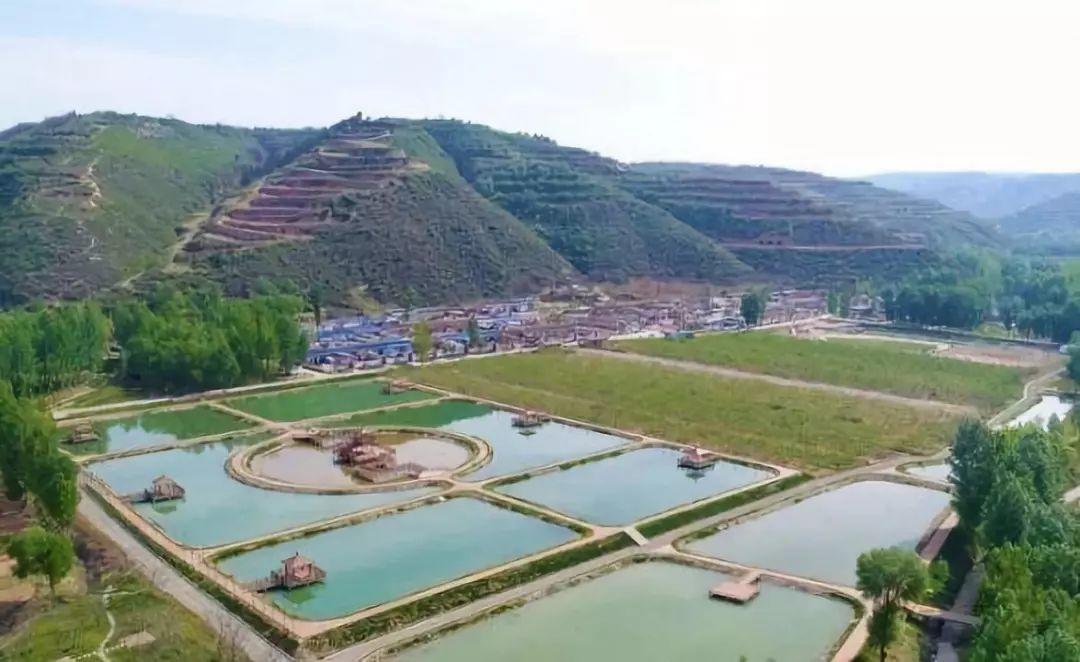 王建康:陕西乡村产业发展，最缺的是什么？
