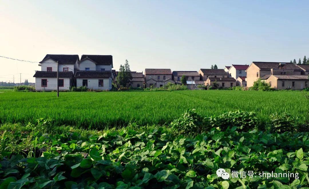 2019中国城市规划年会学术对话 | 邀您共议“郊野单元与国土综合整治”