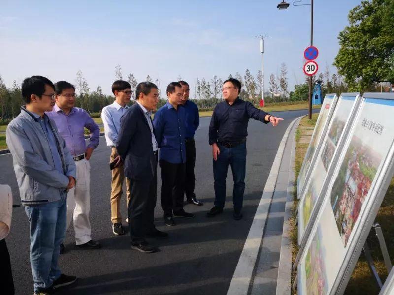2019年杭州市全域土地综合整治与生态修复实施方案审查会顺利召开