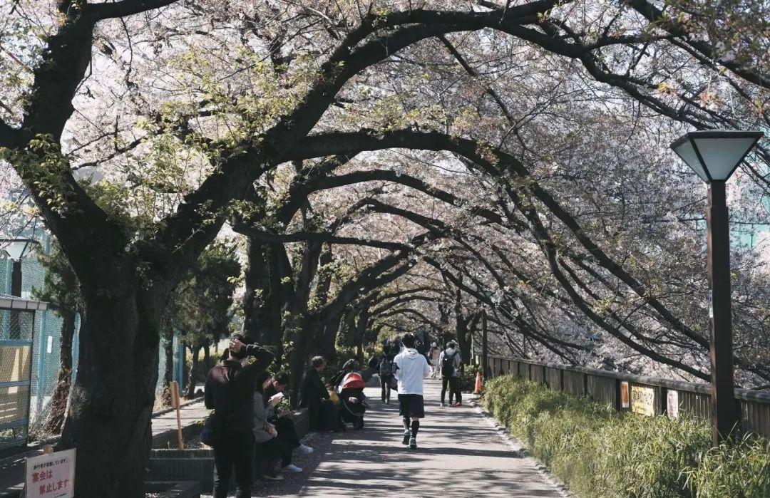 大数据在城市总体规划实施评估中的应用