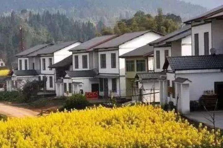 赵兴泉等:放活宅基地和农房使用权