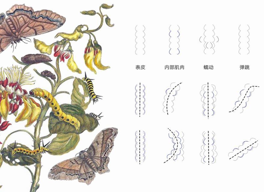 智慧城市与智能空间系列(3):智能互动设施案例-台阶上的“毛毛虫” 智慧城市与智能空间系列(3):智能互动设施案例-台阶上的“毛毛虫”
