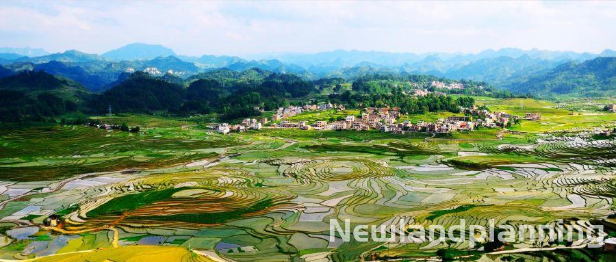 「新·观点」乡村振兴：绕不开的悖论与困局