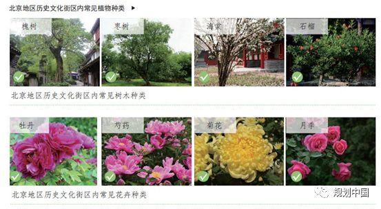 当风貌保护遇见街区更新…… ——《北京历史文化街区风貌保护与更新设计导则》解读