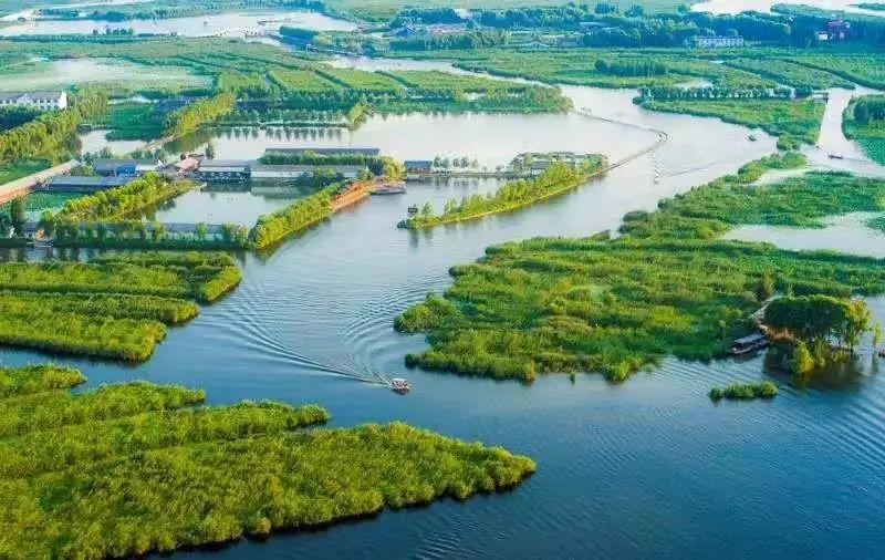 资讯︱全文发布!习近平在黄河流域生态保护和高质量发展座谈会上的讲话 资讯︱全文发布!习近平在黄河流域生态保护和高质量发展座谈会上的讲话