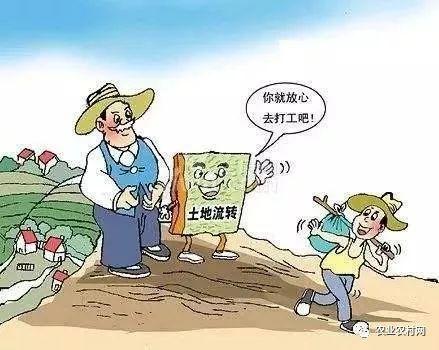农民买卖土地，如何操作，才算合法？