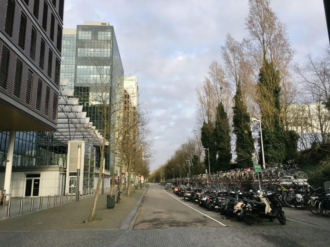 「新·案例」世界级的自行车系统—来自对丹麦、荷兰、德国城市的观察