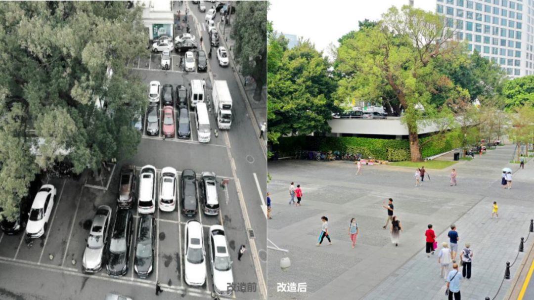 【老城市·新活力】沙面西堤品质提升 【老城市·新活力】沙面西堤品质提升
