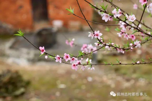 下流坊村:诗情画意汝水畔 下流坊村:诗情画意汝水畔