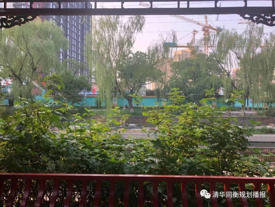 同衡视点 | 以“亲自然设计”重建都市家园 同衡视点 | 以“亲自然设计”重建都市家园