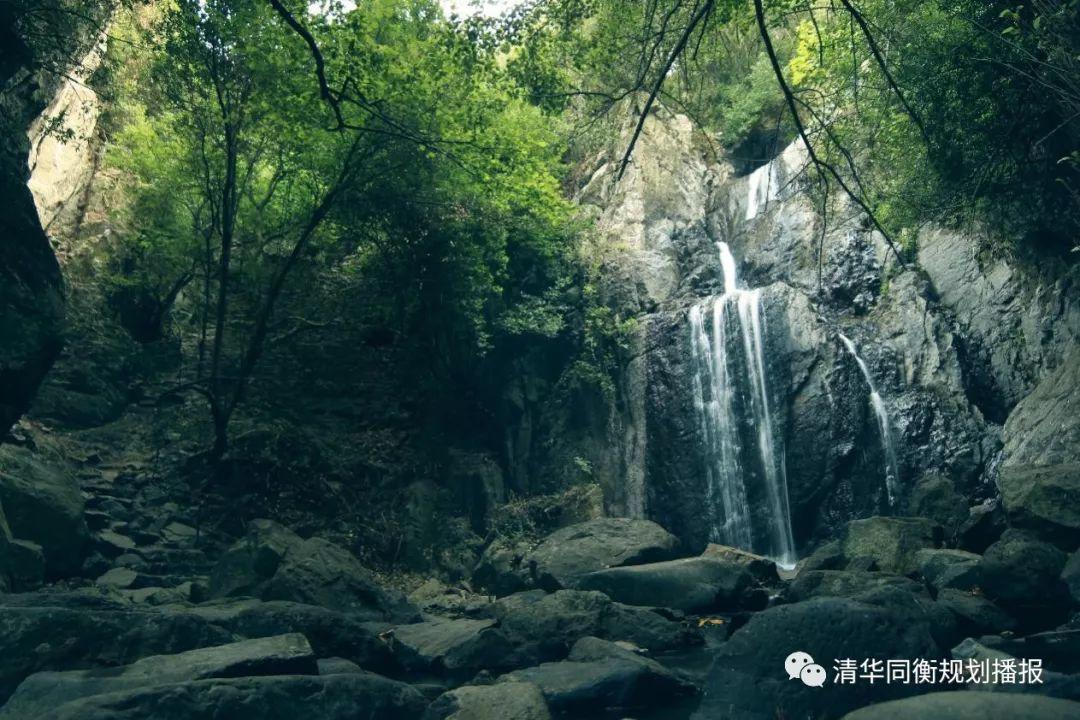 同衡视点 | 以“亲自然设计”重建都市家园 同衡视点 | 以“亲自然设计”重建都市家园