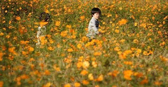 「新·视点」打造​儿童友好城市的70条小秘诀！