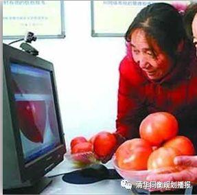 张佳:成都市乡村社区生活圈实践探索 张佳:成都市乡村社区生活圈实践探索