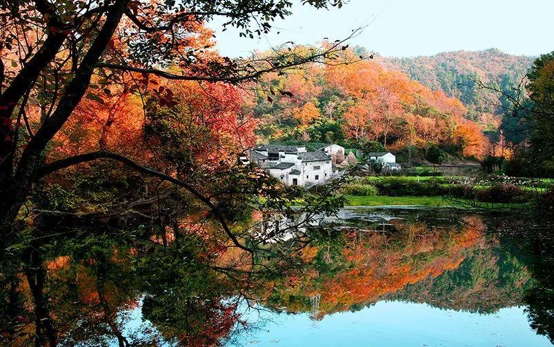 宣城七个旅游“十佳”系列评选结果公布，绩溪这些景点、民宿等上榜