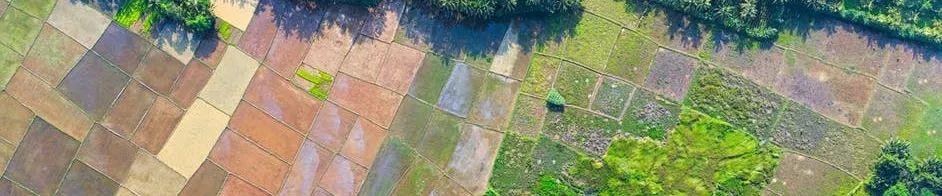 中共中央 国务院关于保持土地承包关系稳定并长久不变的意见 中共中央 国务院关于保持土地承包关系稳定并长久不变的意见