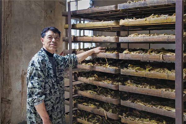 徽之匠心｜第三届“千锤百炼·徽州百工”全国摄影作品展入展作品欣赏