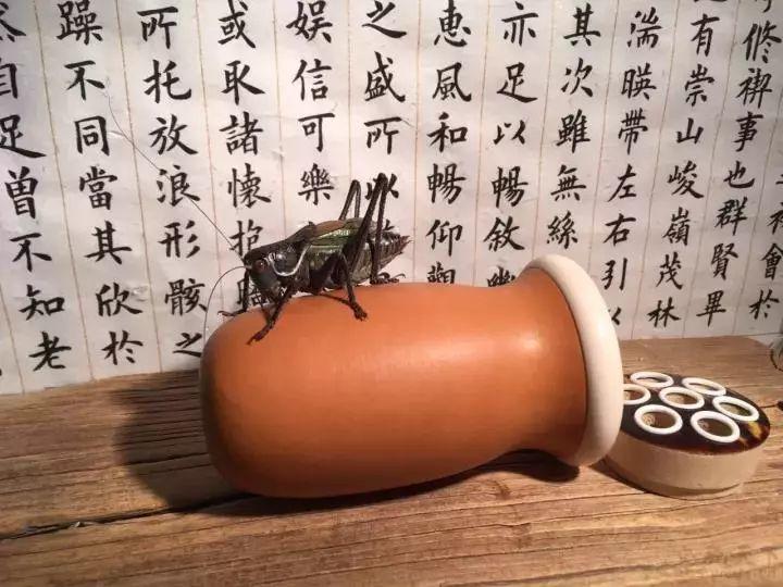 一点儿北京 | 今日小雪,北京人开始“猫冬”,吃什么玩什么有讲究! 一点儿北京 | 今日小雪,北京人开始“猫冬”,吃什么玩什么有讲究!
