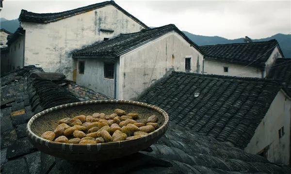 徽之匠心｜第三届“千锤百炼·徽州百工”全国摄影作品展入展作品欣赏