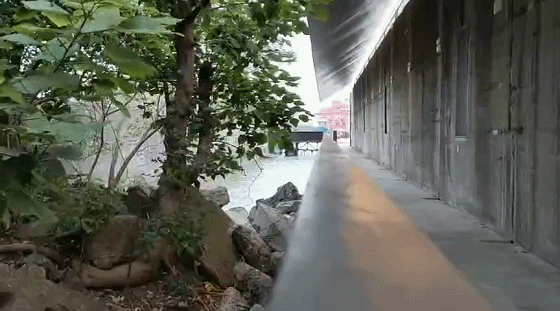 访边园后记