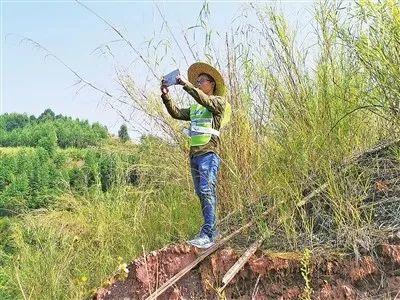 第三次全国国土调查工作,在这里他们是这样干的 第三次全国国土调查工作,在这里他们是这样干的