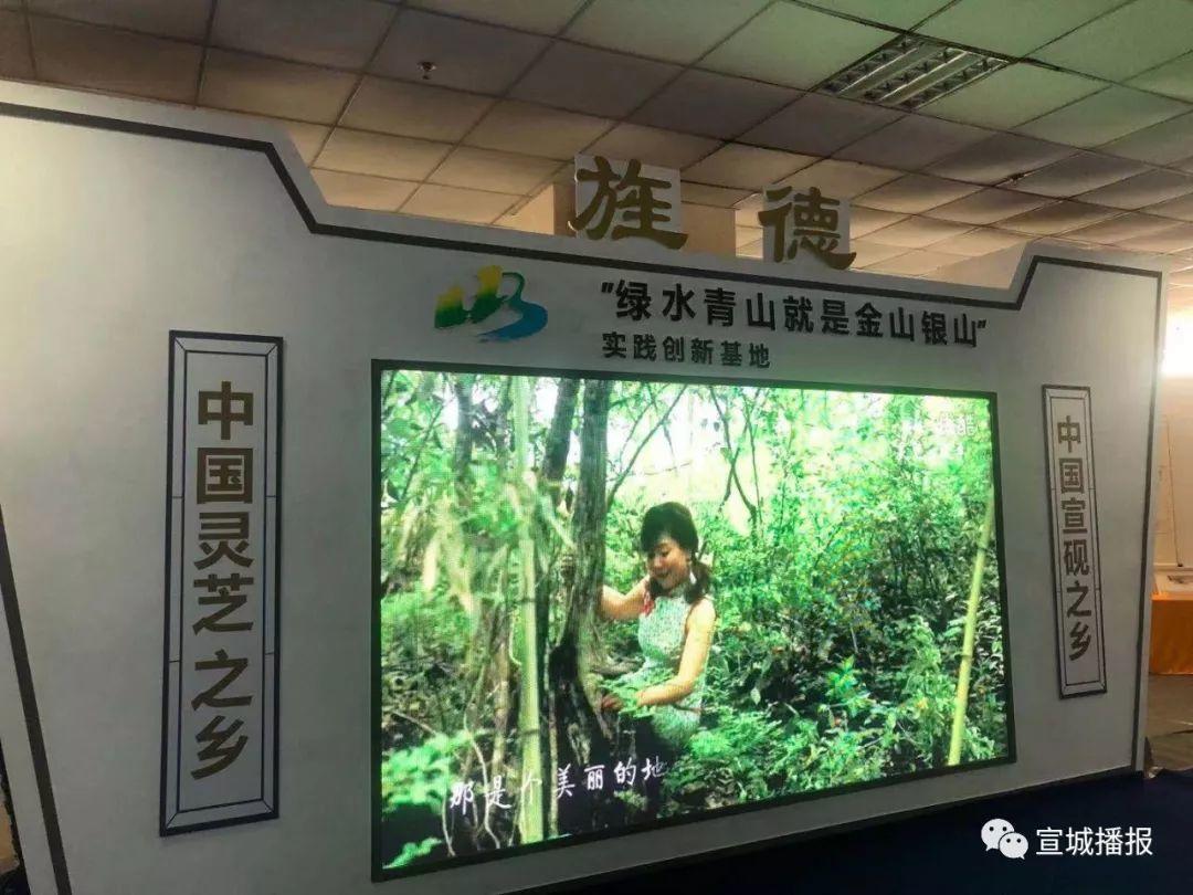 第九届文房四宝文化旅游节！