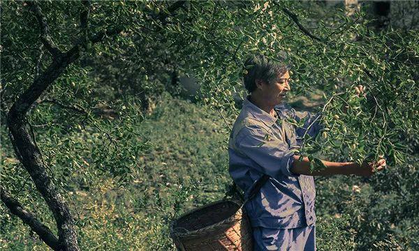 徽之匠心｜第三届“千锤百炼·徽州百工”全国摄影作品展入展作品欣赏