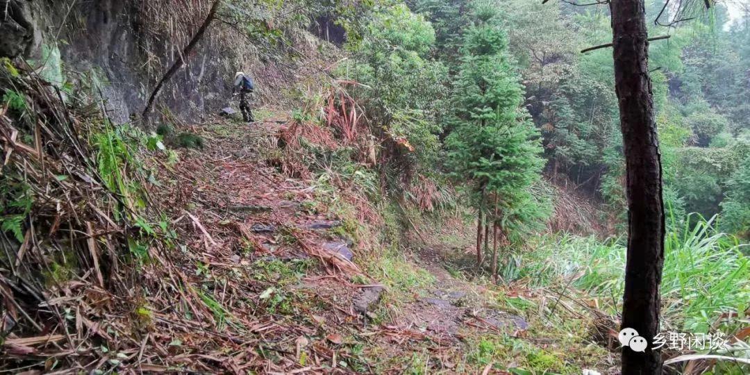 【徽州古道12】歙县连岭古道6：徽州境内凿建最早、现存最长的青石古道