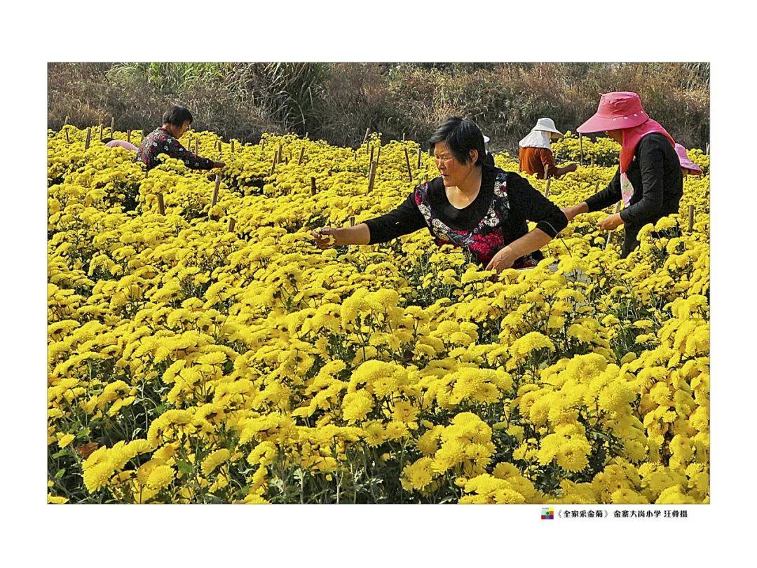摄影，给孩子们到达远方的力量｜乡村少年光影社2019年黟县国际乡村摄影展