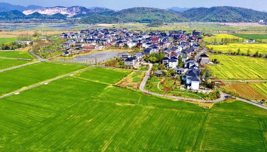 杭州西湖区：全域整治催生美丽乡村
