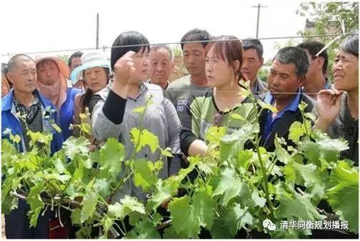 张佳:成都市乡村社区生活圈实践探索 张佳:成都市乡村社区生活圈实践探索