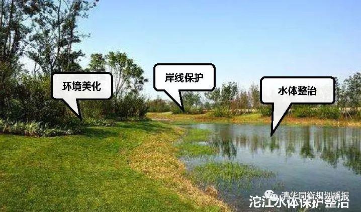 张佳:成都市乡村社区生活圈实践探索 张佳:成都市乡村社区生活圈实践探索