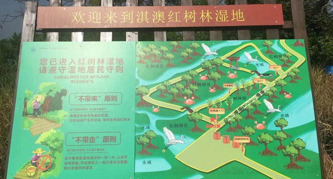 广东省国土空间生态修复协会成立，国地科技当选常务副会长单位