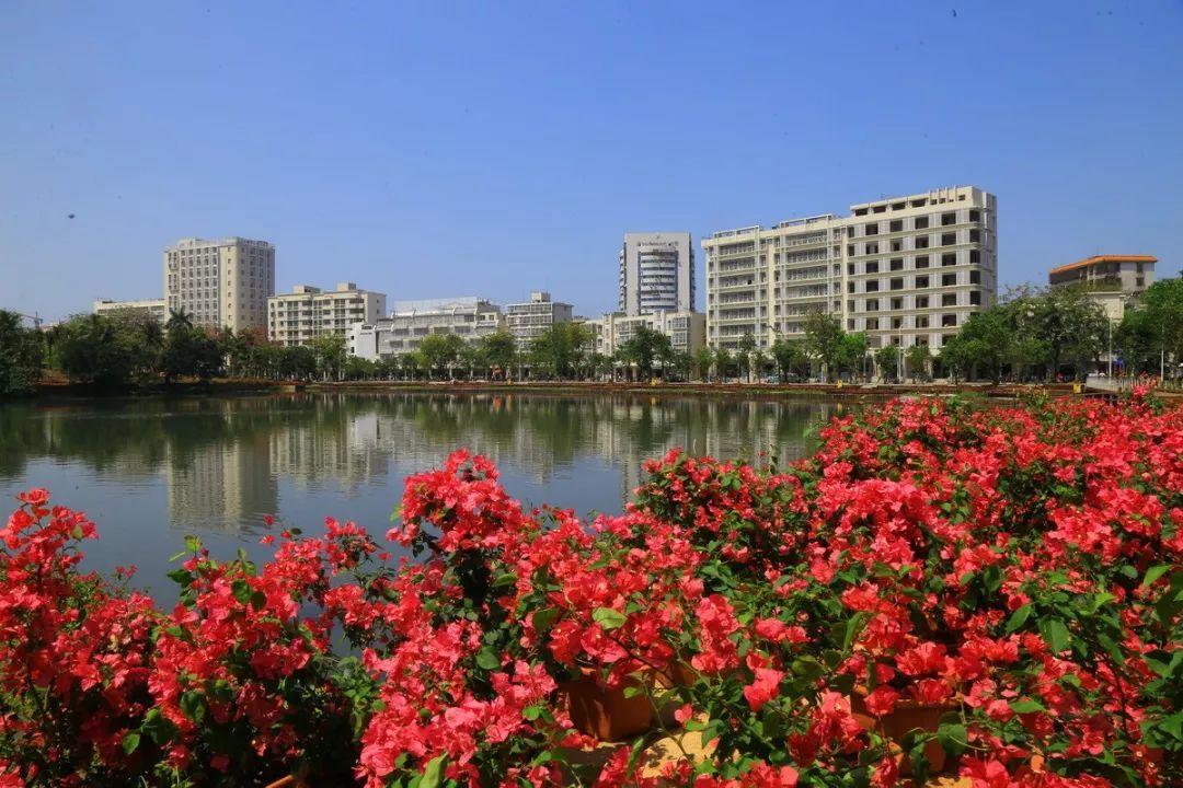 城市双修实践中的算法逻辑 —— 以海口市城市更新三角池示范区项目为例
